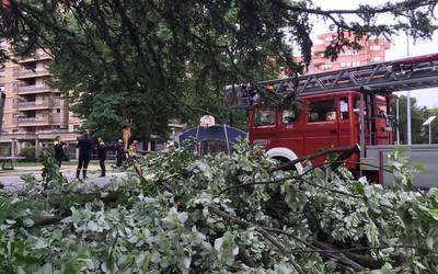 San Inazio auzuneko parkean jausitako arbola zatia erretiratu dute suhiltzaileek