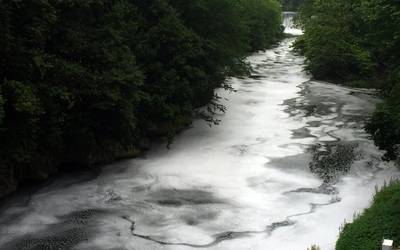 Altzolan, Deba ibaian agertu diren aparren jatorria ikertzen ari da URA agentzia