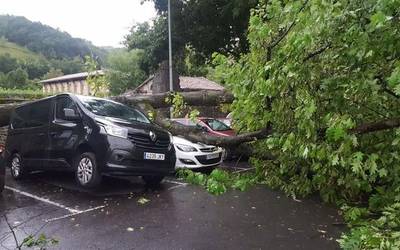 Haizeteak autoen gainera bota du arbolatzar bat Bergarako hilerri ondoan