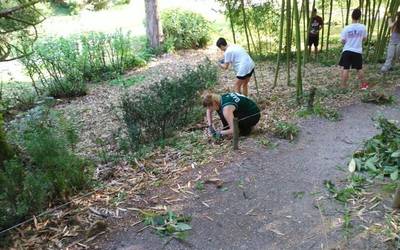 Natur parke batean egiten den lehen lan-kanpalekua egiten ari dira Mundu osoko gazteak Bertizen