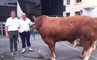 Premietxeberri baserriak hainbat sari jaso du Gipuzkoako X. Limousin Txapelketan