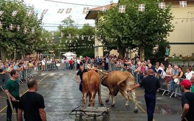 Omenaldia eta idi probak izan dituzte, gaur, Oikian