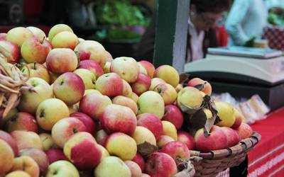 Produktu ekologikoez gainezka egongo da zapatuan Algortako Telletxe plaza