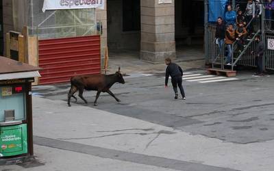 Bigantxekin sokamuturrean ekin diote domekari Bergaran