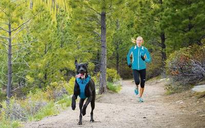 Txakurkrosa gehituko diote Arrankudiagako trailari