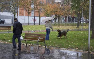 Asteartetik aurrera, txakurrak lotuta joan beharko dira Gasteizen