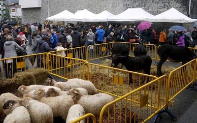 30 ekoizleren produktuak bildu ditu Leitza eta Aresoko azokak