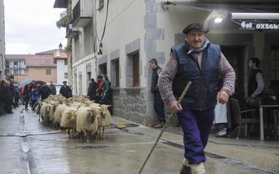 Goizuetako azienda feria eguneko argazkiak