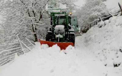 Elurrari aurre egiteko protokoloa, aktibatuta