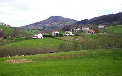 Bidasoa eta Baztan bailaretan, usoak lagun