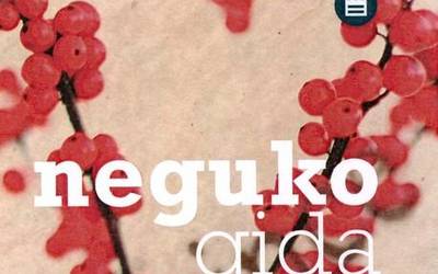 Debagoieneko udal biblioteken 'Neguko Gida' berria kalean da