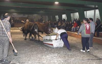 San Antonio jaiei idi eta zaldi probekin emango diote amaiera