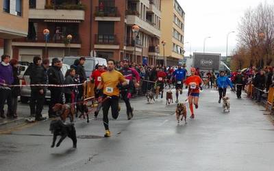 Euskal Ligako onentsuenek hartuko dute parte, igandean, Zumaiako VII. mushing lasterketan