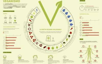 Saioa Peronaren infografia, onenetarikoen artean