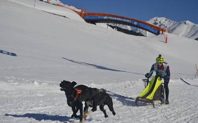 Imanol Cid txapeldunorde Espainiako Mushing Txapelketan