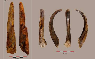 Neandertalen garaiko egurrezko erreminta bat aurkitu dute Barrikan