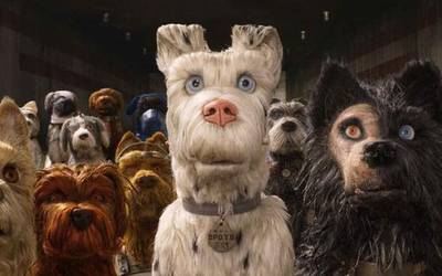 'Isle of dogs'