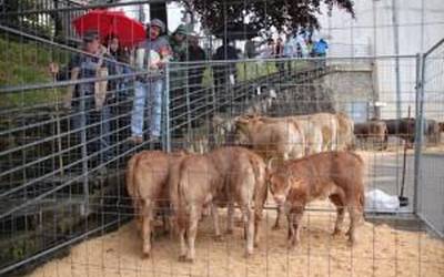 Asentzioko Feria izango da igandean Aian