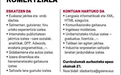 Lan eskaintza: Komertziala