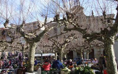 Iberdrolak onartu du argi-hornikuntza arazoak daudela