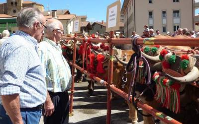 24 idi-pare egongo dira aurtengo Ferixa Nagusian