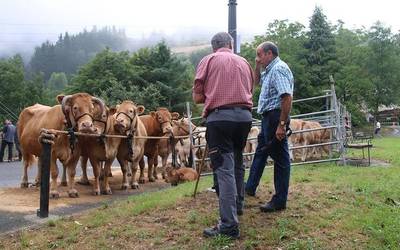 Azoka, erromeria eta herri kirolak San Andresko jaietan