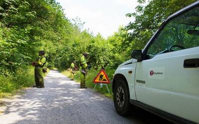 Tasubinsako langileek egin dituzte Bidasoko Bide Berde bazterreko sasitza kentze-lanak