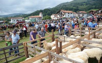 XLIII. Artzain Zakur lehiaketa eta  XVI. Ardi erakusketa eginen dituzte abuztuaren 15ean Amaiurren