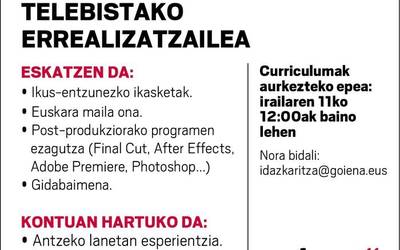 Lan eskaintza: Telebistako errealizatzailea