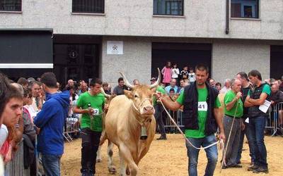 Iñaki Alkorta ganaduzaleak bi sari jaso ditu Ordiziako azokan