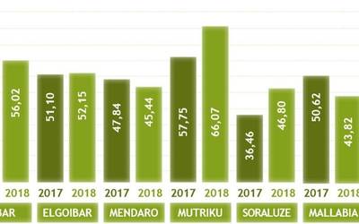 Debabarrenak Europak ezarritako helburuak gainditu ditu hondakinen gaikako bilketan