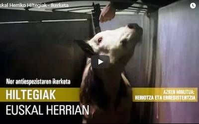 Hiltzen dituzten animalien azken uneak jaso dituzte bideo-dokumentalean