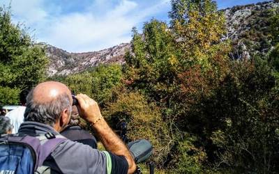 Ornitologia asteburua, Sakanako hegaztiak ezagutzeko aukera