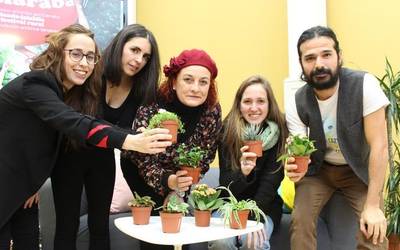 Abian da Haziaraba, estimulazio artistiko goiztiarreko landa-jaialdia
