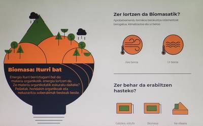 Eskualdeko basoen eta biomasaren inguruko hausnarketa egin du Tolosaldea Garatzenek