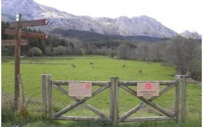 GR-229 Mikeldi ibilbidearen mantenua lehiara atera du Urkiola Landa Garapenak
