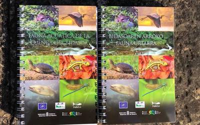 Bidasoko ureko fauna, Nafarroako Gobernuaren argitalpen berri batean ikusgai