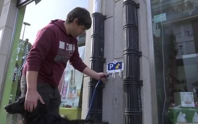 Txakurrak lotzeko gantxoa jarri dute farmazia atarian