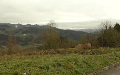 Errezil sagarra bultzatzeko proiektua prest
