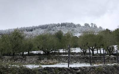 Abisu horia elurragatik eta euriagatik egunotarako