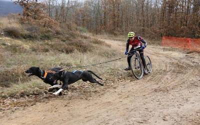 Imanol Cid hirugarren lur gaineko Espainiako mushing txapelketan