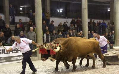 Aiako XX. Kintopeko Idi Proba txapelketa jokatuko da martxoaren hasieran