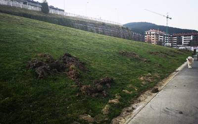 Zuhaitzak landatzera joateko dei egin dute domekarako