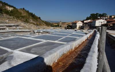 Gune botaniko berria du Gatz Haranak