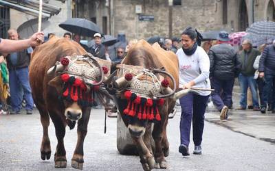 Idi proba erakustaldia, San Martin plazan