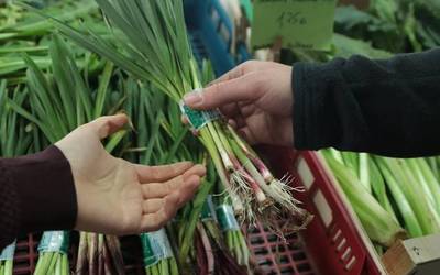 Bailarako barazki ekoizleek salduko dituzte produktuak abuztuan, Erein Da Jan dendetan