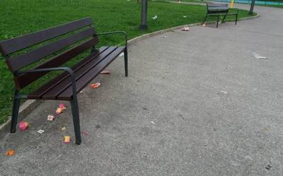 Aisialdirako gunea zaborrez inguratuta