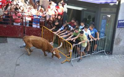Sokamuturra argazkitan