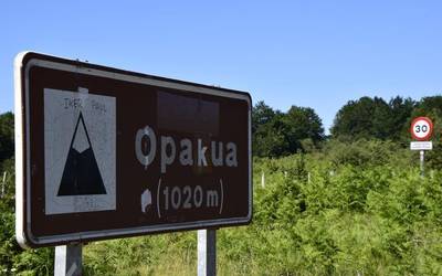 Lautadak Mendialdeari begira