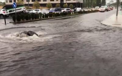 Euritea Iruñerrian: 30 litro metro karratuko, ordu erdian